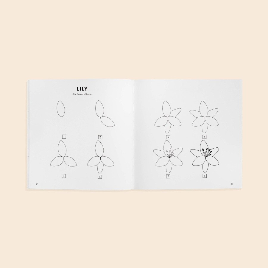 Kids Paige Tate & Co. | Modern Flowers: A How To Draw Book For Kids