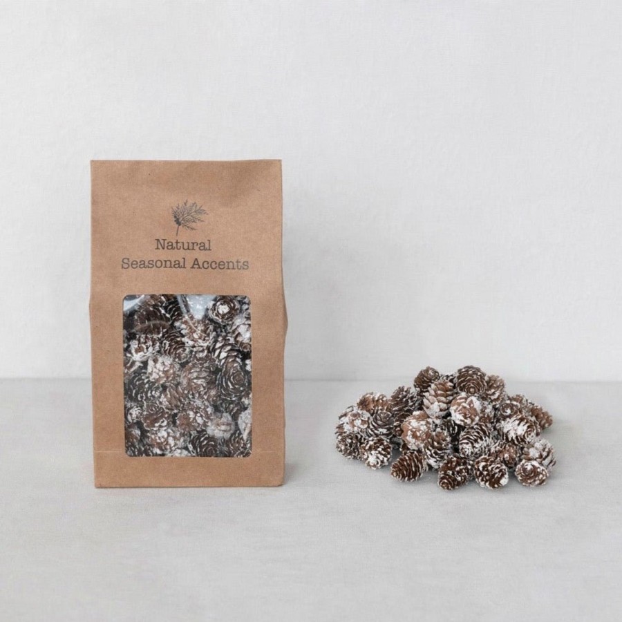 Home & Lifestyle Pinecone Trading Co. Home Accents | Snowy Dried Natural Pinecones